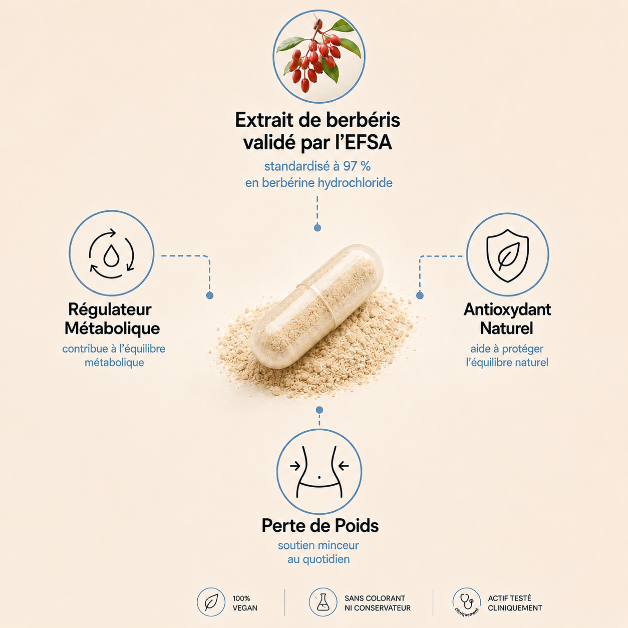 Gélules de Berberine - Mirabel™